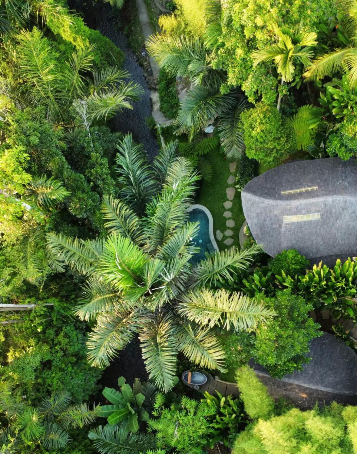 Wahem Eco Bamboo - Magical Bamboo House Ubud Baliヴィラ エクステリア 写真